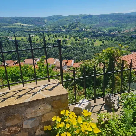 Harmony * Weliko Tarnowo