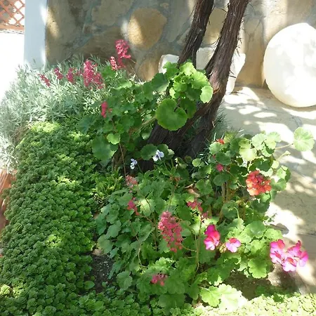 Harmony Πανσιόν *